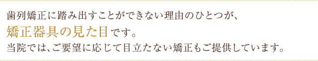 歯列矯正に踏み出すことができない理由のひとつが、矯正器具の見た目です。 当院では、ご要望に応じて目立たない矯正もご提供しています。